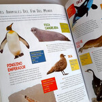 Libros Artemisa Atlas Animales Del Mundo