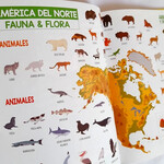 Libros Artemisa Atlas Animales Del Mundo